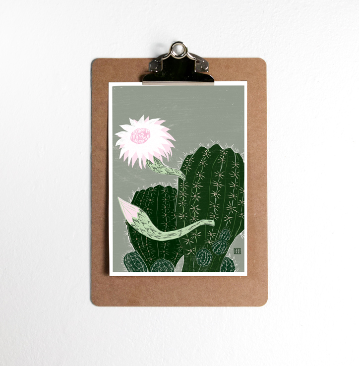 postikortti A6, kaktus vechinopsis sp, sopivadesign